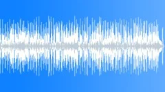 Soul Funk Booty Slap No 05 Slap Bass Funk 228 B 110 bpm Stock Music