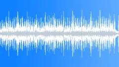 Soul Funk - Neo Soul No 03 - Funky Guitar 228 C 110 bpm Stock Music