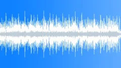 Soul Funk - Neo Soul No 02 - Funky Guitar 228 B 110 bpm Stock Music