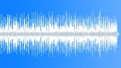 Soul Funk In Style 05 Funk w WahWah Guitars med 243 B 100 bpm Stock Music