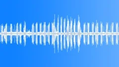 The sound of birds in tropical jungleSound Effect