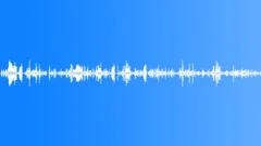 The sound of birds in tropical jungleSound Effect