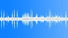 The sound of birds in tropical jungle Sound Effect