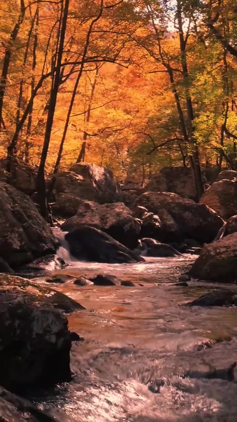 The sound of a calm river Stock Footage 273012597