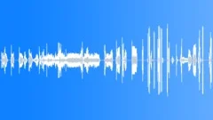 Sound Design,Atmos,Drone,Feedback,Screams,VariedSound Effect