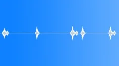 Sound Design,Reveal,Fast,EyeSound Effect