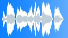 Sound Effect with Discount : Male Voice Thank You So MuchSound Effect
