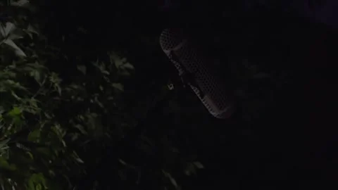 Sound engineer works at night, writes the sound of the dialogue Stock Footage 246978463