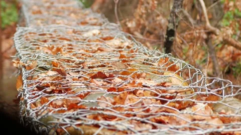 Sound of falling rain Stock Footage 234424817