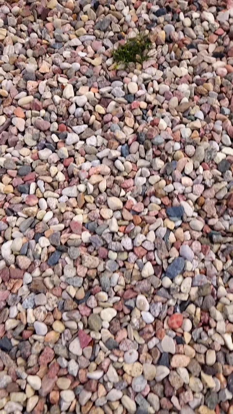 Sound of footsteps on backyard path covered with colourful pebbles Stock Footage 339136092