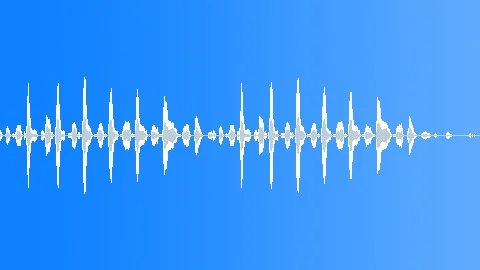 Sound FX - Donkey Sound Effect
