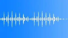 Sound FX - Donkey Sound Effect
