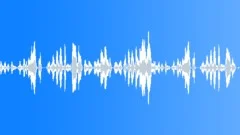 Sound FX - Geese Sound Effect