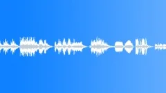 Sound FX Pack 2 - Game and Radio Sounds Sound Effect