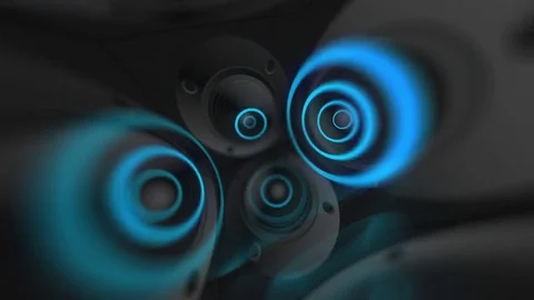 Sound Inside Speaker Stock Footage 80646577