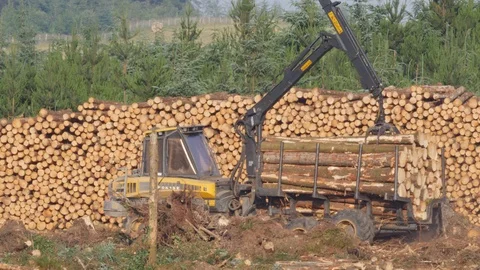 With sound Moving logs using log loader on clearfell site Stock Footage 108065704