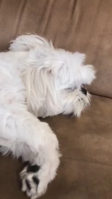 My Sound Stock Video Footage | Royalty Free My Sound Videos | Pond5