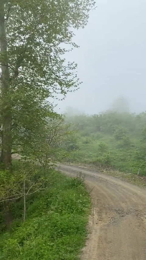 The sound of nature Stock Footage 276544464