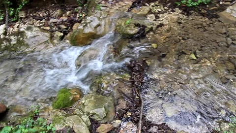 The sound of pristine nature Stock Footage 107518900