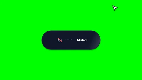 Sound toggle bottom right Green Screen Lower Third Stock Footage 345222649