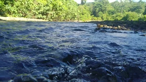 The sound of water in the river Stock Footage 205588730
