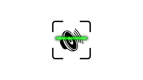 Sound wave animation shows active speaker in focus square footage. 動画素材 346498788