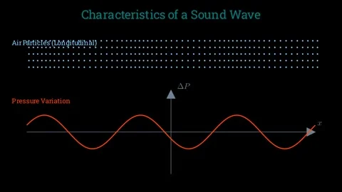 Sound Wave Characteristics Stock-Footage 335922161