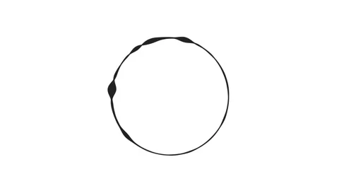 Sound wave digital circle animation on black background, Music equalizer, audio Stock Footage 157557614