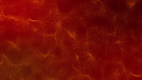 Sound wave pattern of 3d abstract red light particles on red gradient Stock Footage 241570304