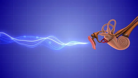 Sound waves entering human ears Stock Footage 250161455