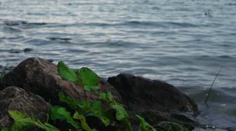 The Sound Of The Waves 스톡 동영상 68027066