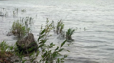 The Sound Of The Waves Video stock 68027361