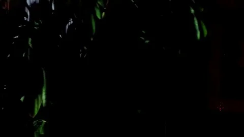 Sound waves performance. Astract kinds of a oscilloscopeunder music on a Stockbeeldmateriaal 83935170