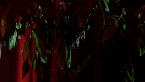 Sound waves performance. Astract kinds of a oscilloscopeunder music on a Vídeo Stock 83935188