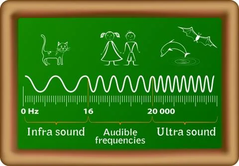 The sound waves vector diagram Stock Illustration
