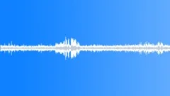Sound of Wild geese in a citySound Effect
