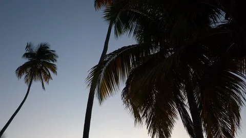 Sounds of a beach at dusk Stock Footage 105871665