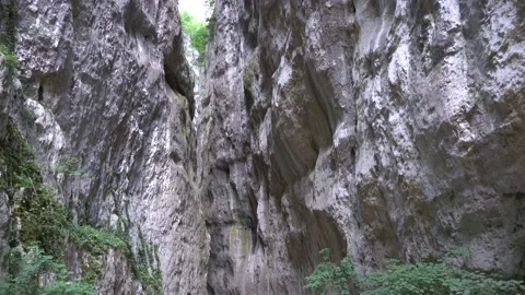 Sounds of birds between a valley with high walls Stock Footage 134508798