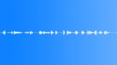 The sounds of the forest.Sound Effect