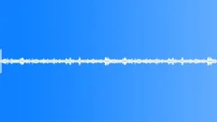 Sounds of the Rain ForestSound Effect
