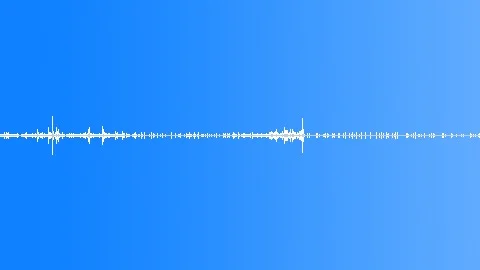 Soundscape - Robust Summer Afternoon Fir Mountain - 1 - 10 min Sound Effect