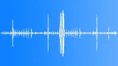 Soundscape with various species of African savanna birds calling Sound Effect