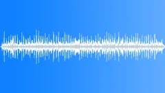 Soundscape of various species of wild birds and chickens calling Sound Effect