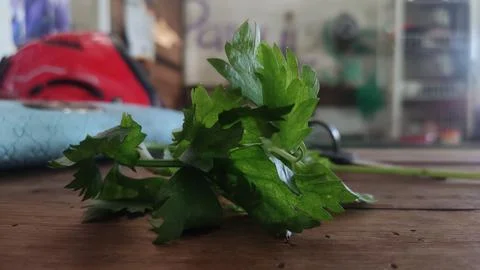 Soup leaves Stock Photos