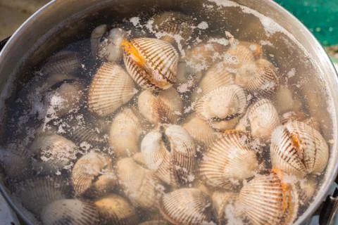 Soup with sea shellfish, cooked by the fire on the beach Stock Photos