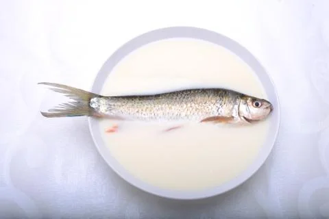 Soup serving in a restaurant Stock Photos