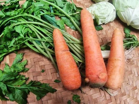 Soup vegetables Stock Photos
