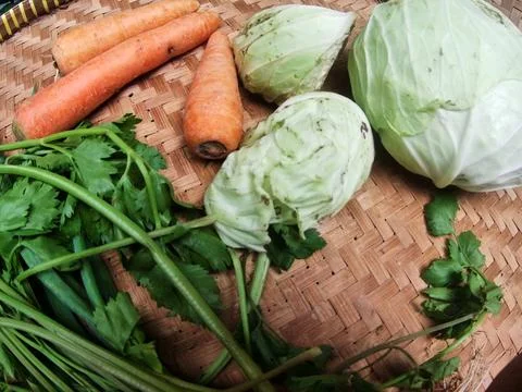 Soup vegetables Stock Photos