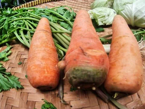 Soup vegetables Stock Photos