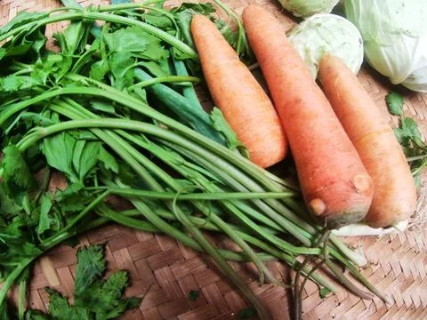 Soup vegetables Stock Photos